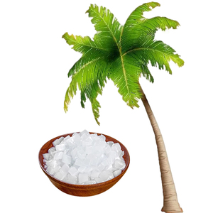 Gelée de noix de coco fruitée en sachet de 1 kg pour boissons et jus de fruits, prête à consommer avec Nata De Coco, durée de conservation de 12 mois, qualité commerciale - Product Image 4