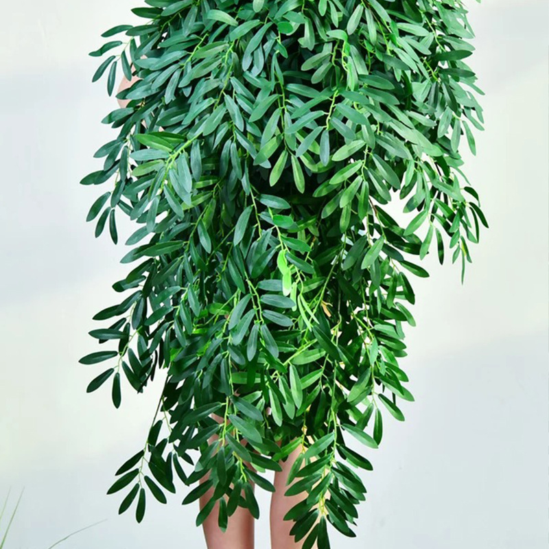 rhododendron for sale Rhododendron maximum