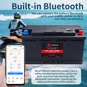 แบตเตอรี่ลิเธียมไอรอน 12V 200Ah LiFePO4 แบบ Deep Cycle พร้อมระบบ BMS 100A ในตัว รองรับการใช้งานมากกว่า 6000 รอบ สำหรับระบบพลังงานแสงอาทิตย์ - Product Image 3