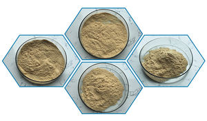 天然カメリアオレフェラ種子エキス茶サポニン - Product Image 6