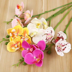 Orchidée Phalaenopsis Artificielle Yiwu Datuo 6x7 Pouces, Taches Blanches, Jaune, Rose, Blanc Laiteux, Décoration de Mariage - Product Image 1