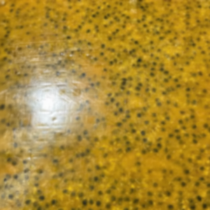 Maracuyá congelado de primera calidad hecho en Vietnam con precio competitivo y capacidad de exportación a granel - Product Image 1