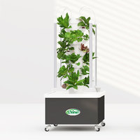 Tour de culture verticale 3P personnalisée Diy Aeroponics Tour hydroponique de jardin