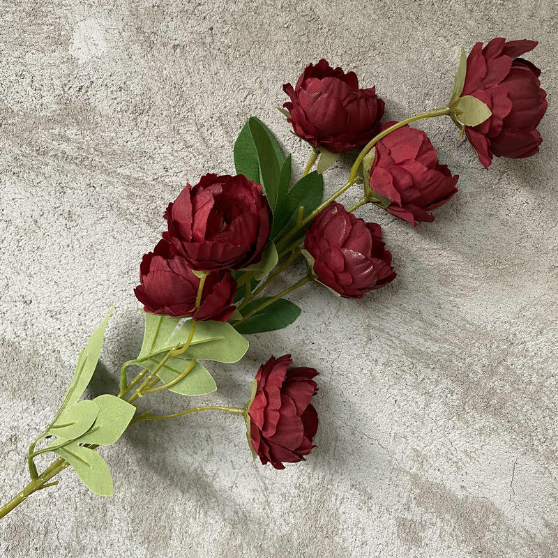 7 tête exquise pivoine vin rouge