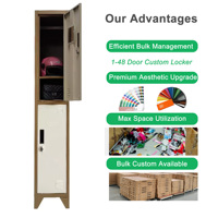 Casier en acier commercial à 2 portes pour vêtements, armoire métallique colorée pour salle de sport, vente en gros