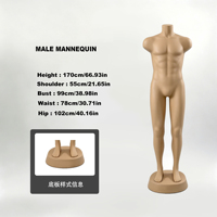 Mannequin de peau, mannequin complet en plastique, mannequin masculin sans tête, mannequin musclé, fabricant, prix de gros