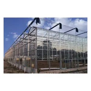 Prezzo della serra di vetro multi-campata agricola della serra M2 utilizzata con i sistemi di agricoltura idroponica