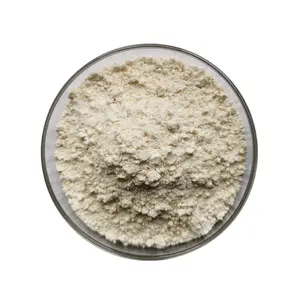 Pure Natural Organic Bulk Almond Flour Powder