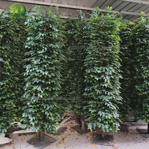 Ficus Artificiale Lussureggiante, Recinzione per la Privacy ad Alta Simulazione, <span class=keywords><strong>Albero</strong></span> di Banyan <span class=keywords><strong>Sempreverde</strong></span>, Alberi <span class=keywords><strong>da</strong></span> <span class=keywords><strong>Giardino</strong></span> per Decorazione e Privacy - Product Image 1