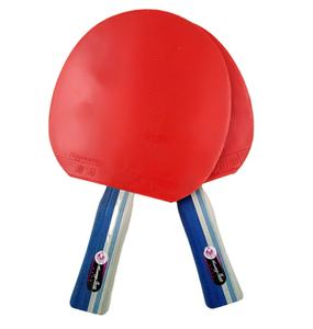 Da tavolo racchetta da tennis set 4 stelle racchette da tennis tavolo formazione di tennis da tavolo pipistrelli paddle 2 e 3 palle set - Product Image 1