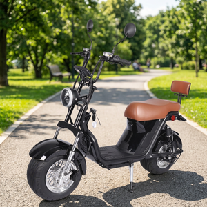 Scooter électrique tout-terrain à deux roues <span class=keywords><strong>2000W</strong></span> 60km/h avec pneus larges pour la randonnée en montagne et les excursions en zone scénique - Product Image 6