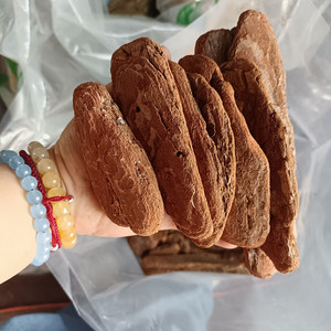 Giá rẻ phân hủy sinh học hữu cơ nhân tạo thông vỏ cây thông gỗ vỏ cây chip mulch - Product Image 4