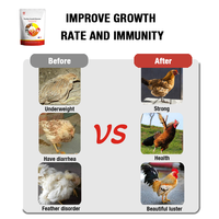 Aliment de Croissance pour Poulets de Chair, Stimulateur de Prise de Poids, Additif Alimentaire pour Volailles avec Vitamines et Probiotiques