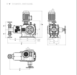 J5.0 de diafragma Series émbolo bombas dosificadoras <span class=keywords><strong>Milton</strong></span> <span class=keywords><strong>Roy</strong></span> - Product Image 5