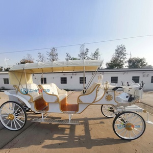 Chariots utilitaires électriques sans chevaux, type calèche royale, personnalisables, pour l'extérieur, prix de gros, les plus vendus - Product Image 5