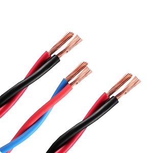 <span class=keywords><strong>Cable</strong></span> de alimentación de cobre RVS de par trenzado de 2 núcleos, 1.5, 2.5, 4, 6 mm, con aislamiento de PVC, 300/300 V, ignífugo, de baja tensión. - Product Image 1