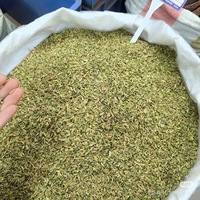Graines de fenouil de qualité export, épices séchées naturelles, emballage personnalisé OEM disponible