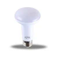 IP20 Indoor New CE ROHS Plastic cover warm white small mini smd r50 r60 r80 led bulb light 3w 5w 7w e14 e27 led bulb lamp