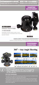 Q03 New <span class=keywords><strong>Mini</strong></span> 360 Angle Panoramic Rotation 1/4 "3/8" Tripod Ball Head Tripe Ball Head para cámara <span class=keywords><strong>DV</strong></span> DSLR con placa de liberación rápida - Product Image 6