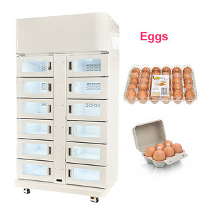 Casillero Expendedor de Zapatos 24 Horas, Personalizable, con Sistema de Compresor de Refrigeración Grande, Múltiples Métodos de Pago para Venta Universal - Product Image 5