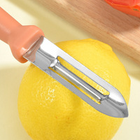 Groothandel Hoogwaardige Multifunctionele Keukengereedschap Rvs Fruit Ananas Groente Aardappelschiller