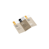 Vente en gros, prix d'usine personnalisé, taille A3 A4 A5, publicité, promotion, couleur, dépliant, livret, brochures, impression
