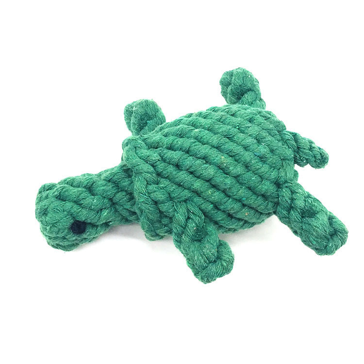 Tortoise