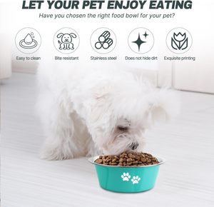 Nouveaux produits en gros : Bols pour chiens en acier inoxydable avec impression couleur, gamelles d'eau et de nourriture pour animaux de compagnie - Product Image 3