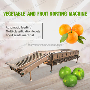 Máquina de clasificación comercial de fruta cítrica, persa - Product Image 6
