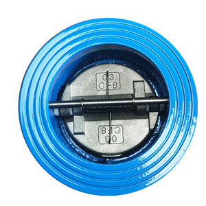 Válvula de Retención de Brida de Hierro Dúctil - Product Image 1