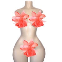 Vente chaude prix le plus bas danse du ventre Performance porter nouveautés Stripper porter
