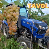Neuer Typ Mini 45PS 4WD Diesel 4-Zylinder Radtraktor mit Front- und Hecklader, Multifunktionaler Getriebeantrieb, Hydraulische Lenkung