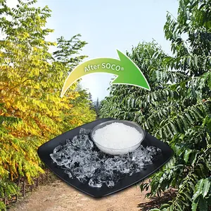 Hydrogel Price High Water Absorption Hydrogel Gel SAP Crystals Artificial Soil For Plants 40-100Mesh Sap