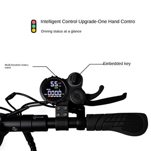 Monopattino Elettrico Fuoristrada N9 in Lega di Alluminio per Adulti - Pieghevole, Ruote da 11 Pollici, Lunga Autonomia (Oltre 35km) 48V Doppio Motore - Product Image 4