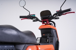 Petit Taureau 1500W Moteur Brushless Vélo Électrique 72V Batterie Au Lithium et Matériau En Acier Streetbikes Vitesse Max 80 km/h - Product Image 6
