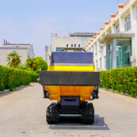 Livraison rapide Mini Dumper Tracked Le moins cher Farm Mini Truck Dumper Offre Spéciale mini dumper à vendre prix d'usine