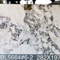 Grande dalle de marbre blanc <span class=keywords><strong>Davinci</strong></span> poli d'Italie avec des veines grises Huître naturelle Marmara Douvres Prix blanc - Product Image 2