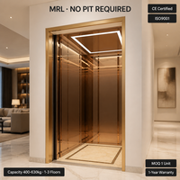 For Villa Home Elevator MRL Gearless Passenger Lift Compact Stainless Steel with 1-Year Warranty Manufacturer