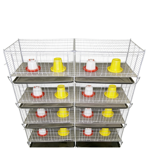 Sistema Automático de Jaulas Galvanizadas para Codornices, para una Cría de Aves de Corral Eficiente y una Alta Producción de Huevos - Product Image 3