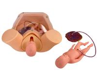 Modèle anatomique KyrenMed KR-243 pour l'entraînement complet aux accouchements, formation en obstétrique et gynécologie, accouchement fœtal, enseignement maternel en PVC