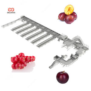 آلة فرز وتصنيف الفواكه الإلكترونية للأناناس والخوخ مع نظام فحص الوزن عبر الإنترنت للبيع - Product Image 3