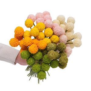Fleur artificielle en boule dorée Craspedia Globosa, fleur artificielle <span class=keywords><strong>Billy</strong></span> Ball pour la décoration de mariage et de fête - Product Image 4