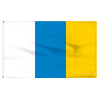 Drapeau national des îles Canaries en polyester 100 %, 3x5 pieds, pour décorations extérieures – Vente en gros, Nouveauté