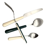 Couleur Poignée En Plastique Cuillère Fourchette Couteau Argent Couverts Ensemble Royal Blanc Perle Acrylique Poignée