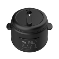 Cuisinière multifonction intelligente 5L 6L, autocuiseur électrique, cuisson automatique, autocuiseur électrique, cuve intérieure en acier inoxydable