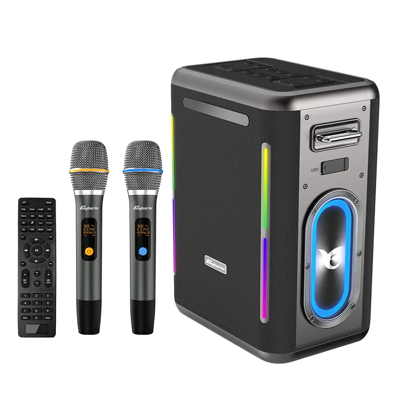 İki kablosuz mikrofonlu Karaoke makinesi, uzaktan kumandalı taşınabilir kablosuz hoparlör PA sistemi, RGB, TWS, USB güç bankası