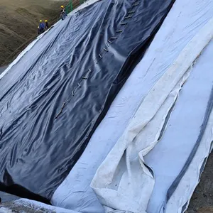 Заводская цена 1 мм HDPE Гео мембрана для пруда Лист пластиковый лист геомембраны для пруда горячая распродажа