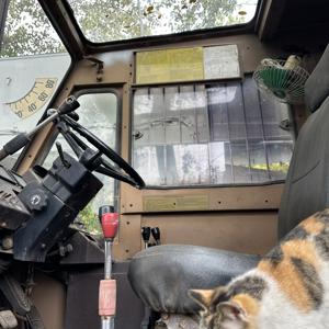 טדאנו יד שנייה GR-300EX 30 טון מנוף שטח קשה שימוש מנופים צמיגים מקוריים 30 t tyre - Product Image 5