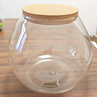 Grand terrarium en verre moderne pour plantes aériennes et succulentes - Vase de table fait main écologique pour la décoration de la maison/du bureau