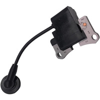 Nouveaux accessoires de tondeuse à gazon 1E40F-E Cg-430.3 le remplacement de la bobine d'allumage du paquet haute tension